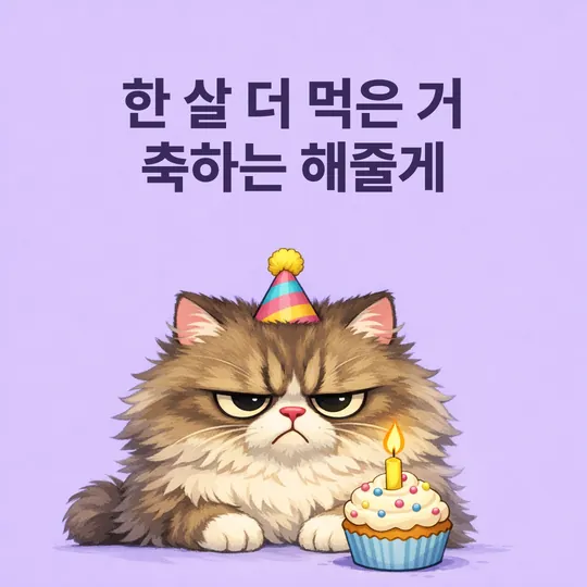 파티 모자를 쓰고 시큰둥한 표정의 고양이 그림에 "한 살 더 먹은 거 축하는 해줄게" 문구